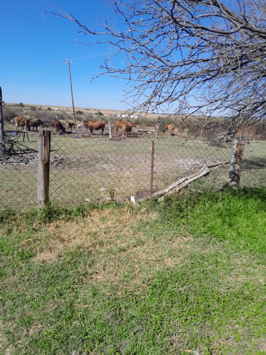  Bedroom Property for Sale in Kroonstad Rural Free State
